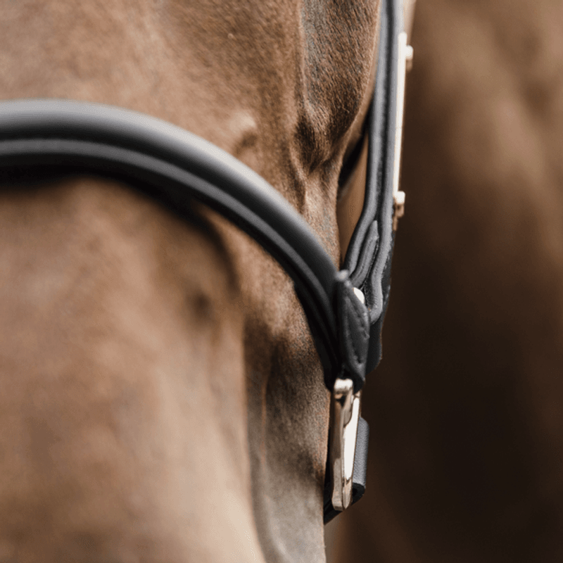 Kentucky Anatomic Leather Halter