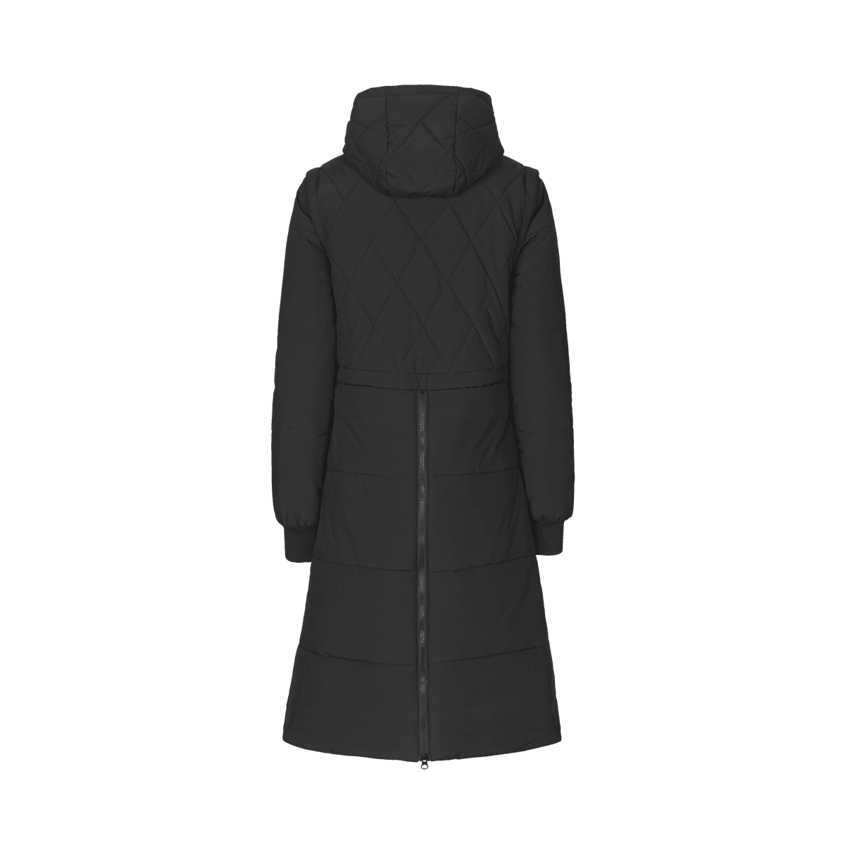 Kingsland Mary Ladies Padded Riding Coat