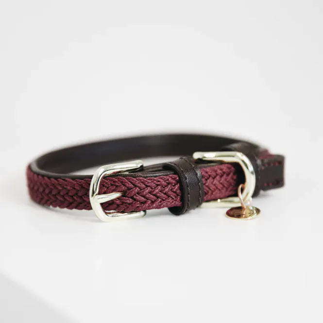 Hovedbilde Kentucky Dog Collar