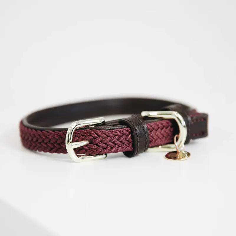 Kentucky Dog Collar