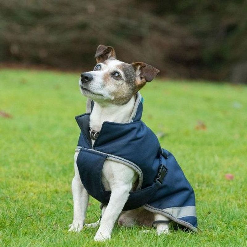 Bucas Freedom Dog Rug 300g