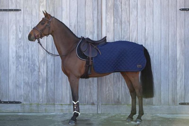 Kentucky Quarter Rug 160 g