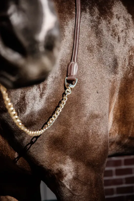 Kentucky Leather Chain Lead