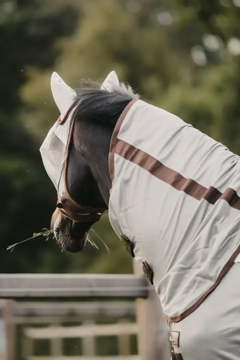 Kentucky Fly Rug Classic